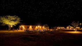 Marvin Desert Camp