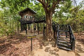 Tree house hideaway bandhavgarh
